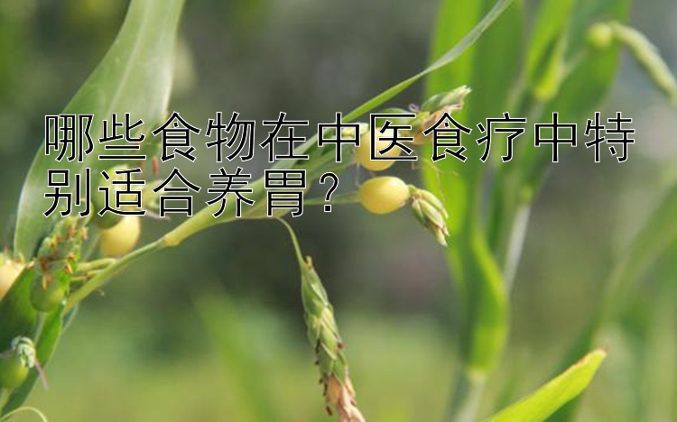 哪些食物在中医食疗中特别适合养胃？